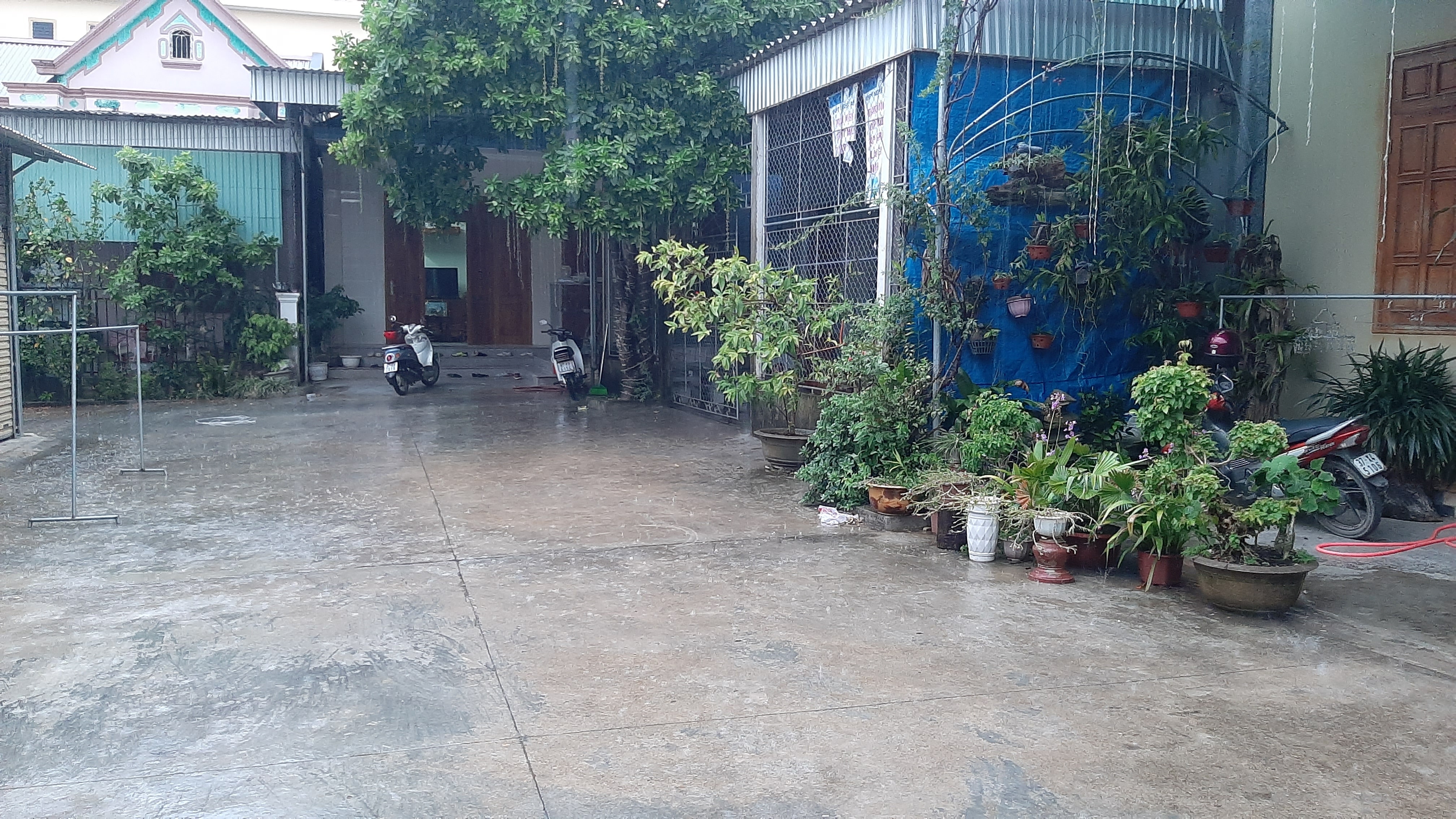 Mưa xuất hiện tại thị trấn Quỳ Hợp trong chiều tối 1/7. Ảnh: Phan Giang