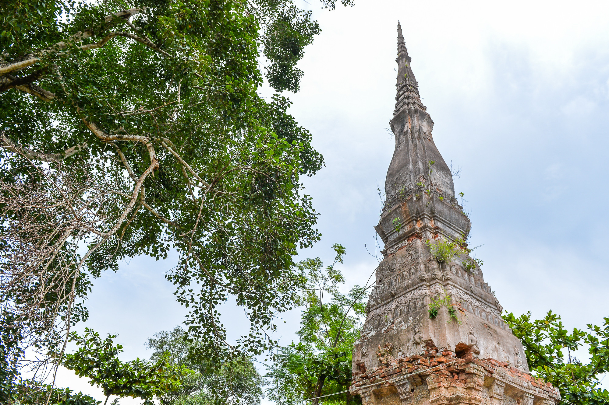 Tòa tháp cổ kính, rêu phong, xung quanh nhiều cây cỏ rậm rạp. Bên cạnh tháp, có một gốc cây bồ đề cao tương đương ngọn tháp. Cư dân địa phương cho biết đây là cây mọc lại từ phần gốc cây trồng từ ngày xây dựng tháp đã bị gãy đổ. 