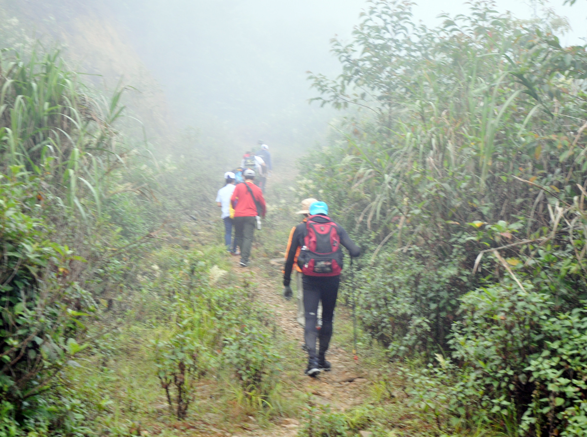Đoàn khảo sát leo núi, chinh phục đỉnh Pù Xai Lai Leng, thuộc địa bàn xã Na Ngoi (Kỳ Sơn). Ảnh: Công Kiên