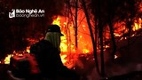 Nghệ An triệu tập các đối tượng phục vụ điều tra nguyên nhân gây cháy rừng
