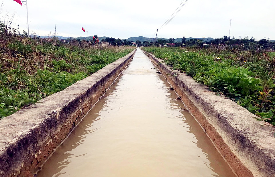 Hệ thống thủy lợi của xã Bài Sơn (Đô Lương) những ngày qua được Nhà máy Xi măng Đô Lương hỗ trợ bơm cung cấp đủ nước. Ảnh: Hồ Thắng