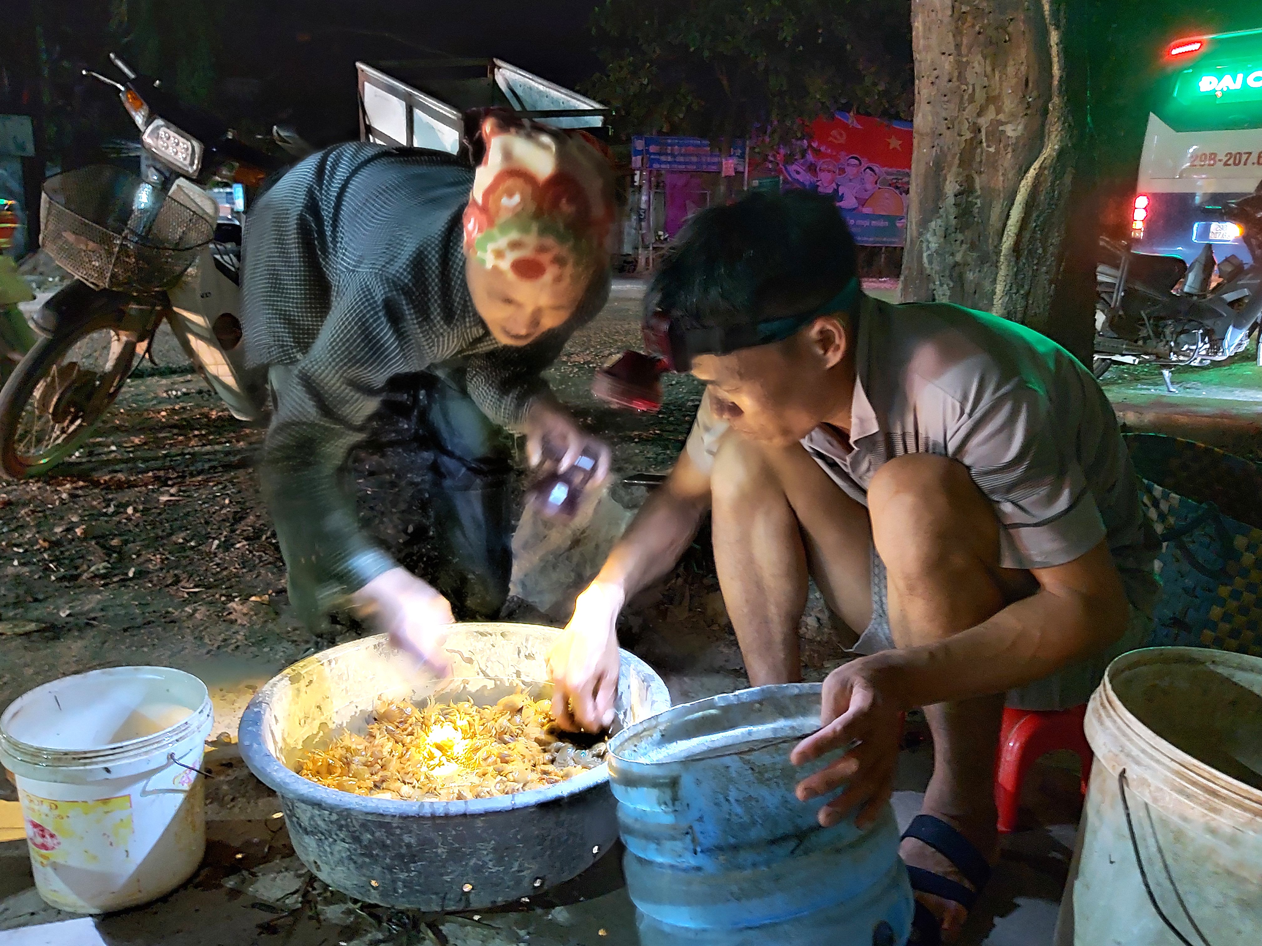 Nhu cầu tiêu thụ cua tăng mạnh tại các thành phố phía Bắc, nhưng dịp này cua đồng ở Nghệ An hiếm, nên lượng cua bắt được mỗi ngày không nhiều. Ảnh: Xuân Hoàng