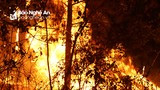 Rừng Nam Đàn lại cháy ngùn ngụt, cả nghìn người chữa cháy trong đêm