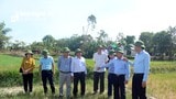 Nghệ An đề nghị hỗ trợ 3.500 tỷ đồng chống hạn vùng Nam - Hưng - Nghi - thành phố Vinh