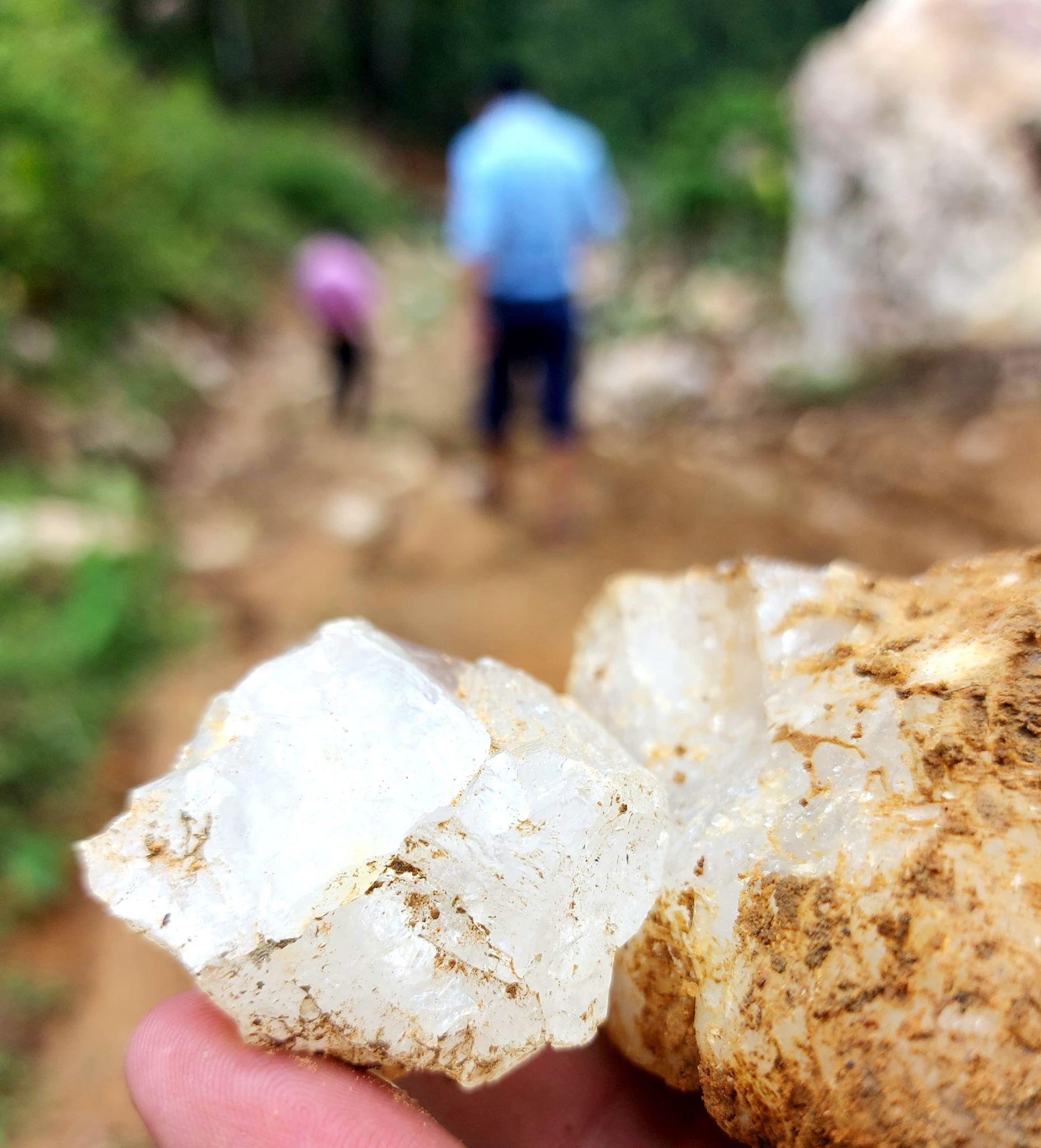 Trên khu vực có tình trạng đào bới, những người cùng đi (là cán bộ huyện Quỳ Hợp) còn nhặt được những viên đá hình thù bắt mắt, trong suốt. Và họ gọi tên đó là đá thạch anh. Ảnh: Nhật Lân