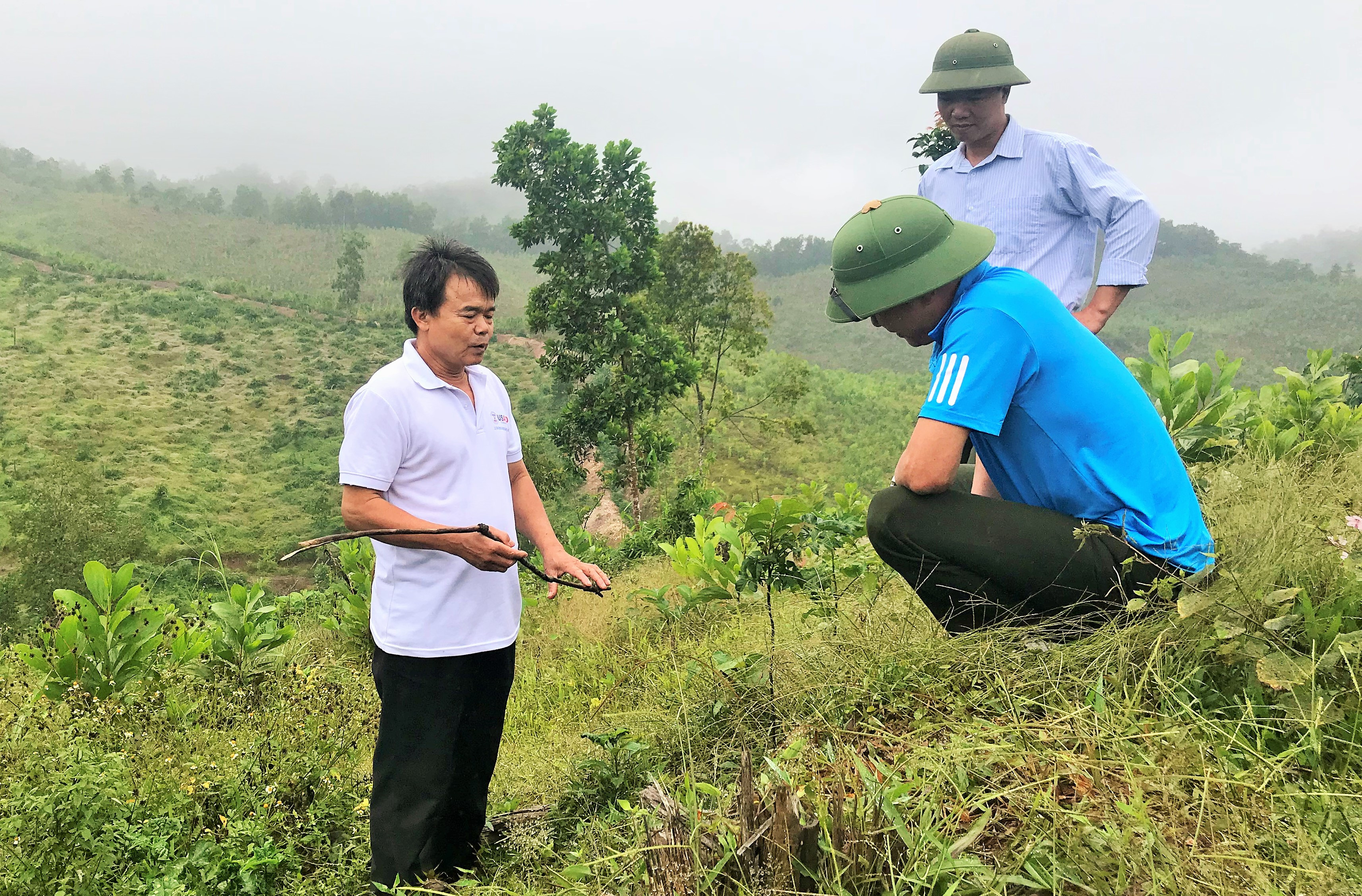Kiểm tra công tác trồng rừng ở Quỳnh Lưu. Ảnh tư liệu