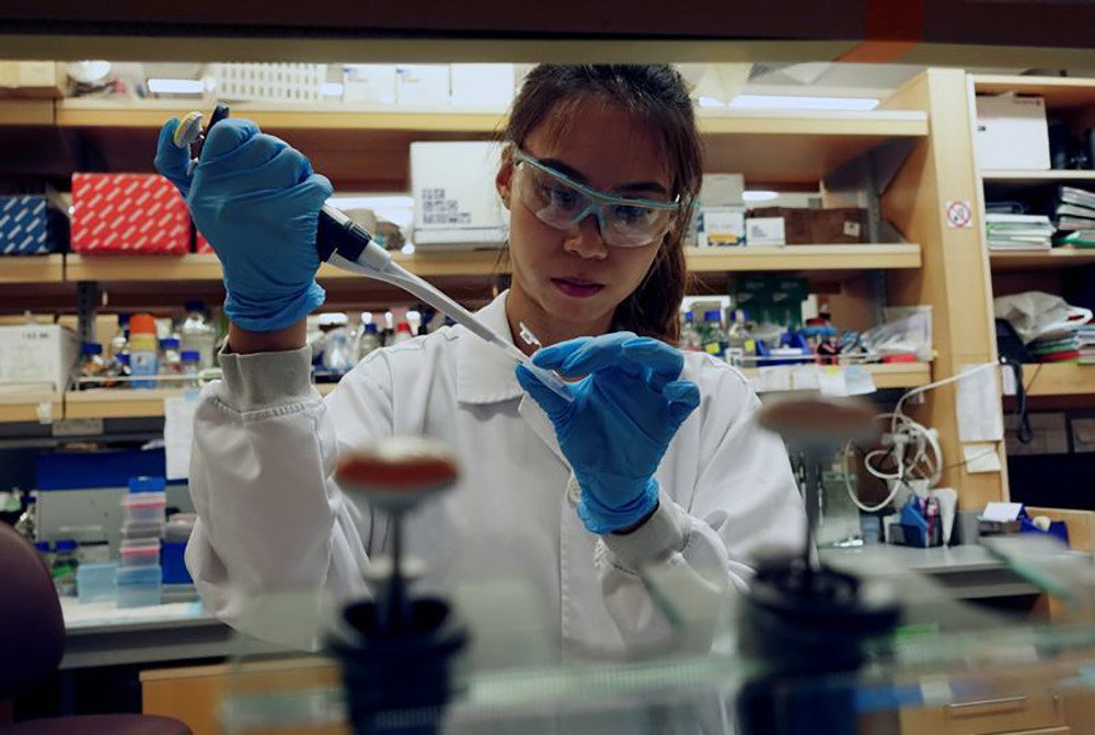 Nghiên cứu phát triển vaccine phòng chống Covid-19 tại trường Đại học Y Duke-NUS, Singapore. Ảnh: Reuters