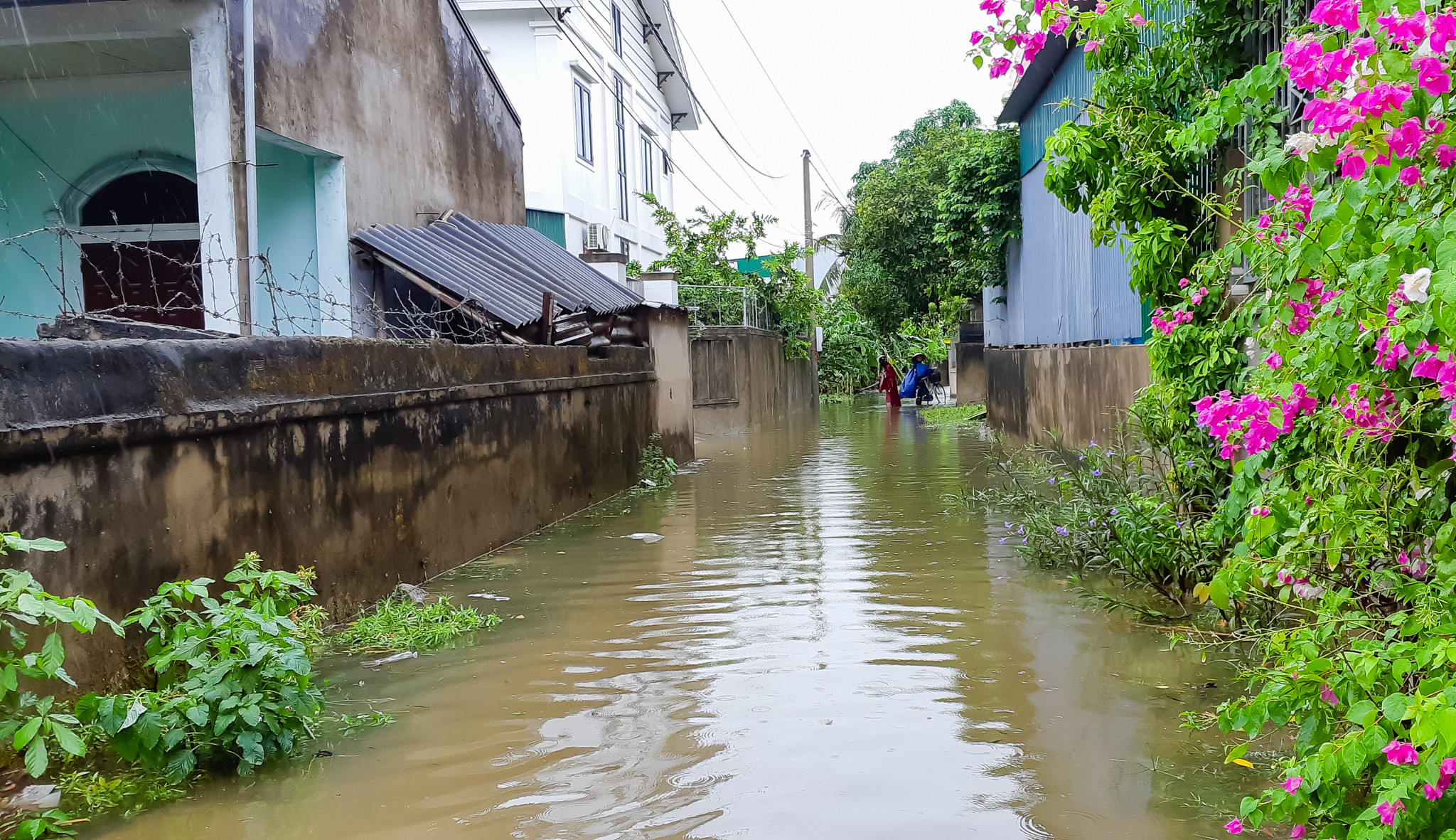 Xóm 13A, xã Nghi Kim, Thành phố Vinh ngập cục bộ do lượng mưa kéo dài. Ảnh: Lâm Tùng