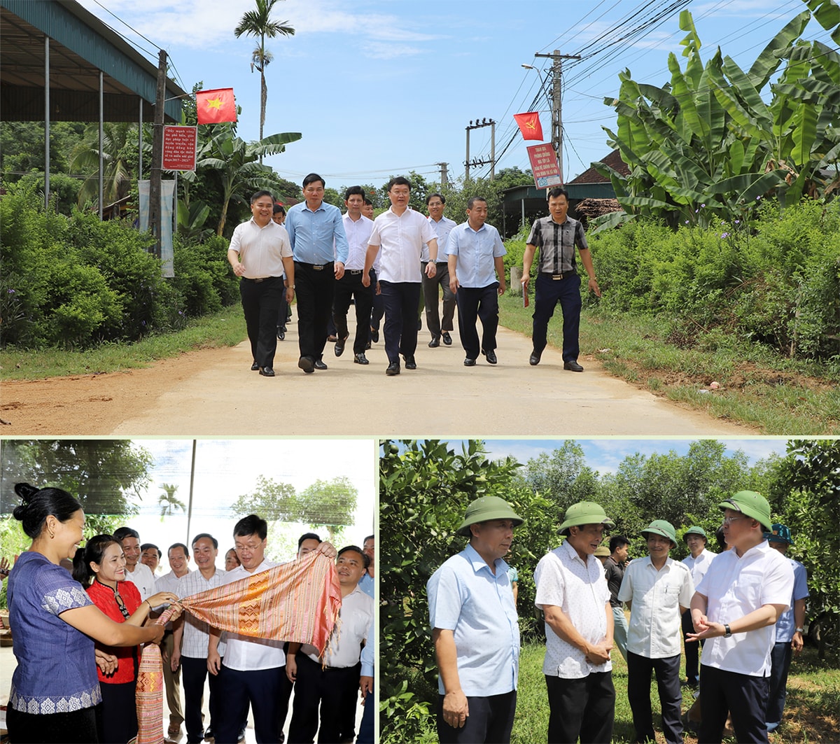 Chủ tịch UBND tỉnh Nguyễn Đức Trung thăm các mô hình kinh tế tại huyện Quỳ Châu. Ảnh: Phạm Bằng