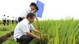 Tổng Công ty CP Vật tư nông nghiệp Nghệ An: Nhà đầu tư chiến lược của nhiều đơn vị 