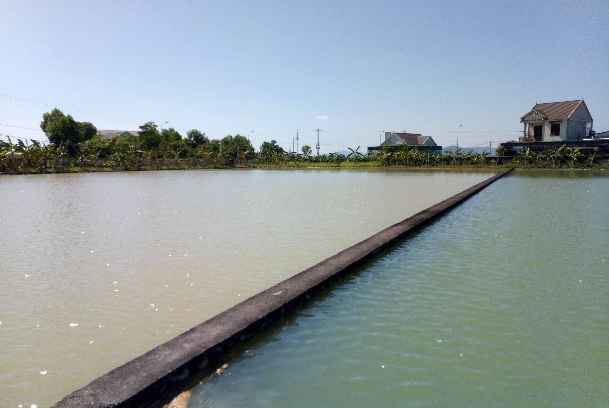 Hồ chứa nước thô  Nhà máy nước Yên Thành. Ảnh: Văn Trường
