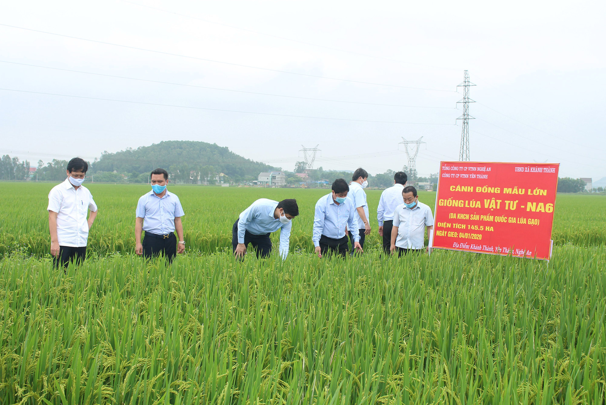 Kiểm tra Dự án sản phẩm lúa gạo Quốc gia của Bộ Nông nghiệp và PTNT tại xã Khánh Thành, huyện Yên Thành. Ảnh: Phú Hương