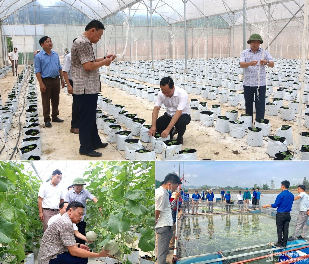 Nhiều mô hình kinh tế ứng dụng khoa học kỹ thuật được người dân đầu tư xây dựng mang lại hiệu quả kinh tế cao. Ảnh: Phương Thảo