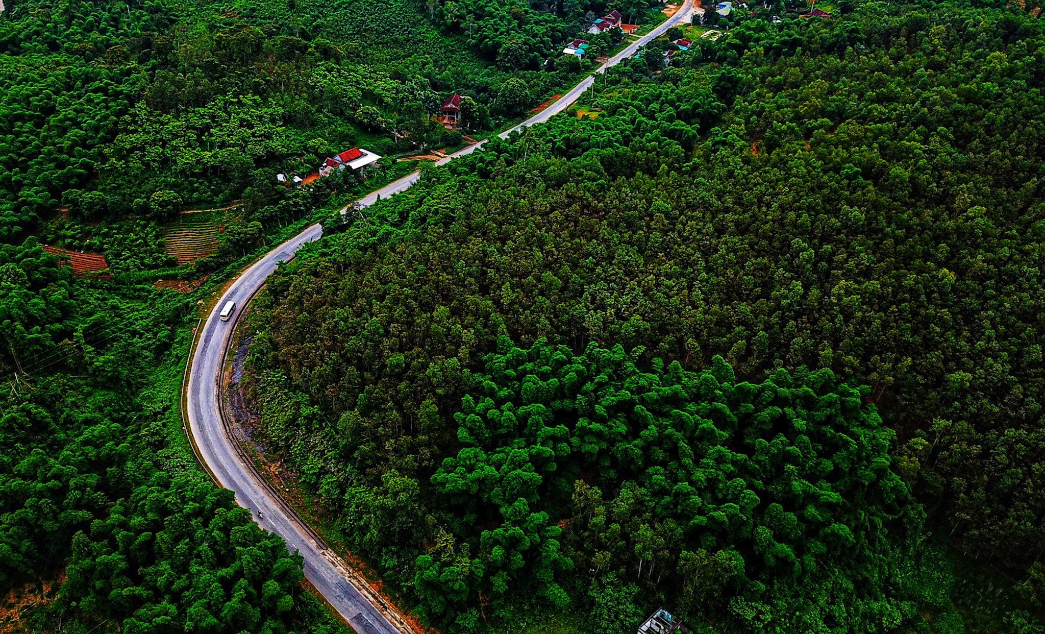 Tuyến đường . Ảnh Hải Vương