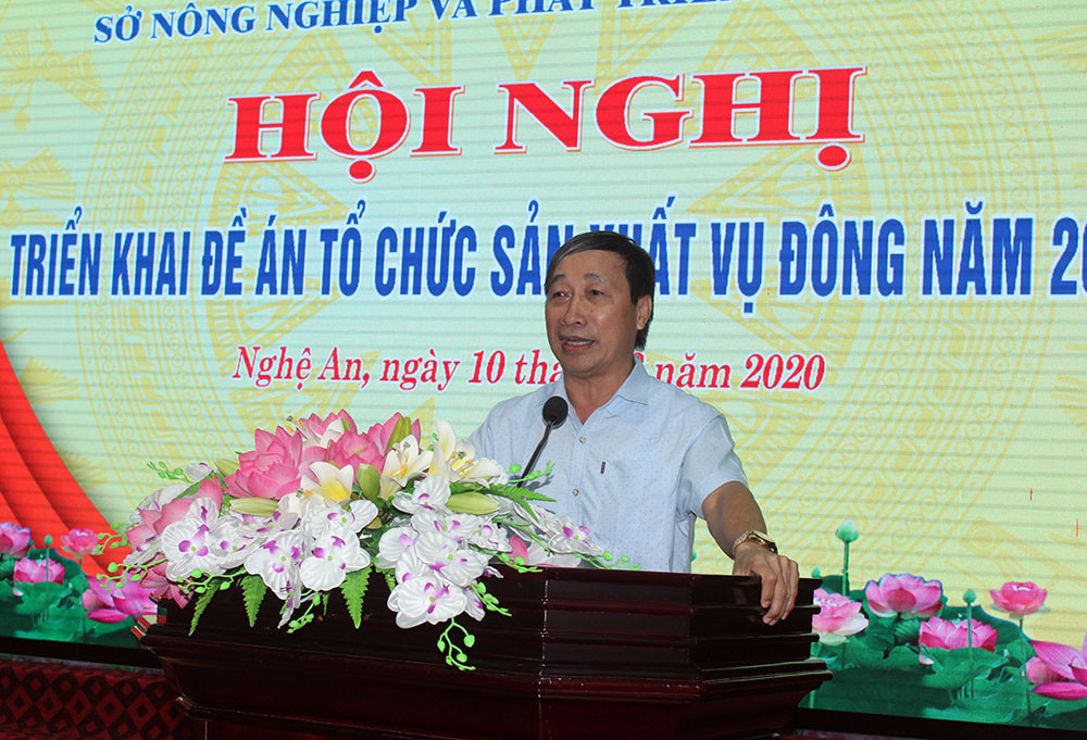 Ông Nguyễn Văn Lập-  Chủ tịch Hội Khoa học kỹ thuật nông nghiệp Nghệ An cho rằng: Yếu tố quan trọng nhất trong chỉ đạo sản xuất vụ đông, đó là vấn đề tổ chức sản xuất. Ảnh: Phú Hương