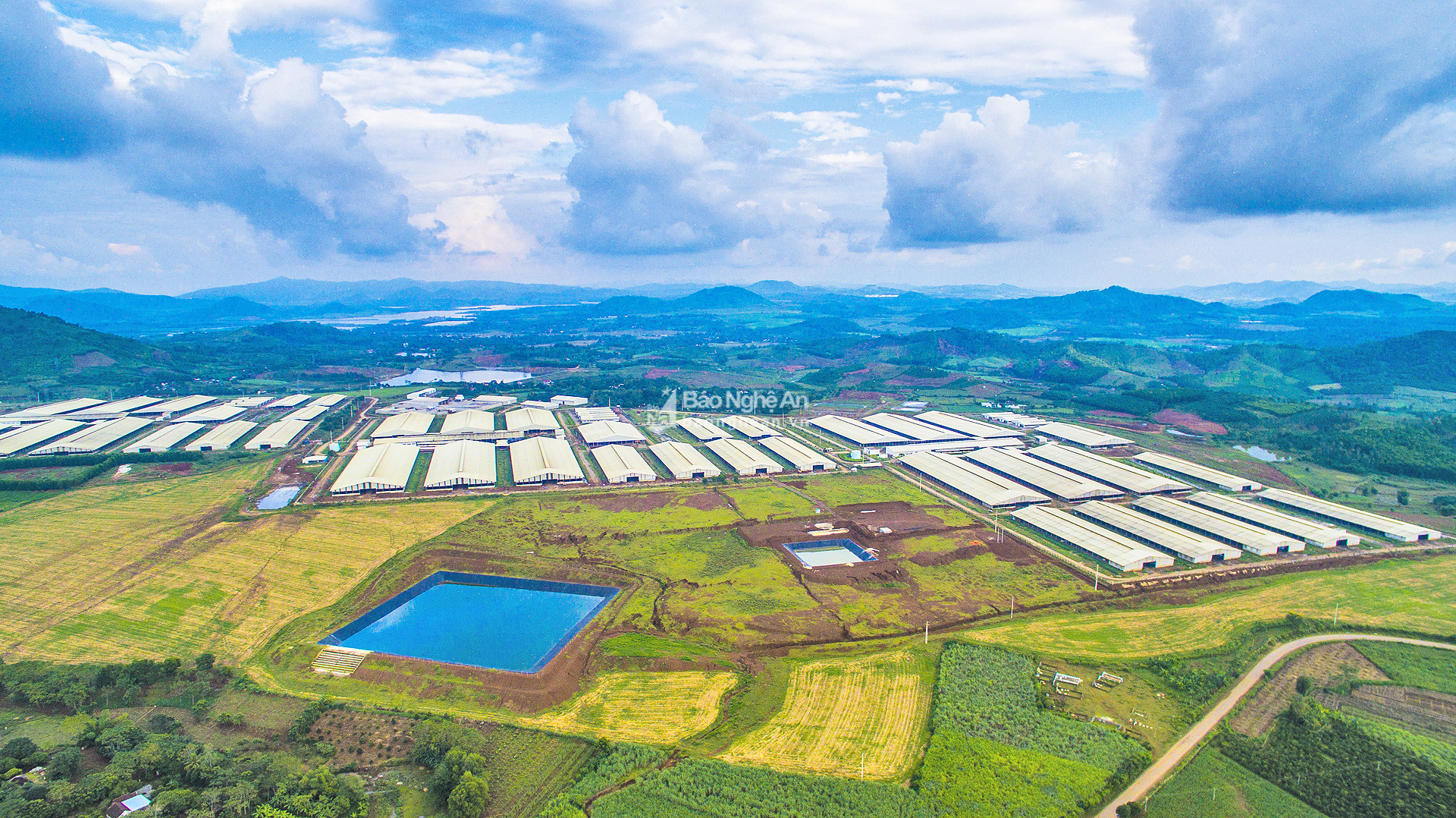 Chuỗi nông nghiệp ứng dụng công nghệ cao ở huyện Nghĩa Đàn. Ảnh tư liệu