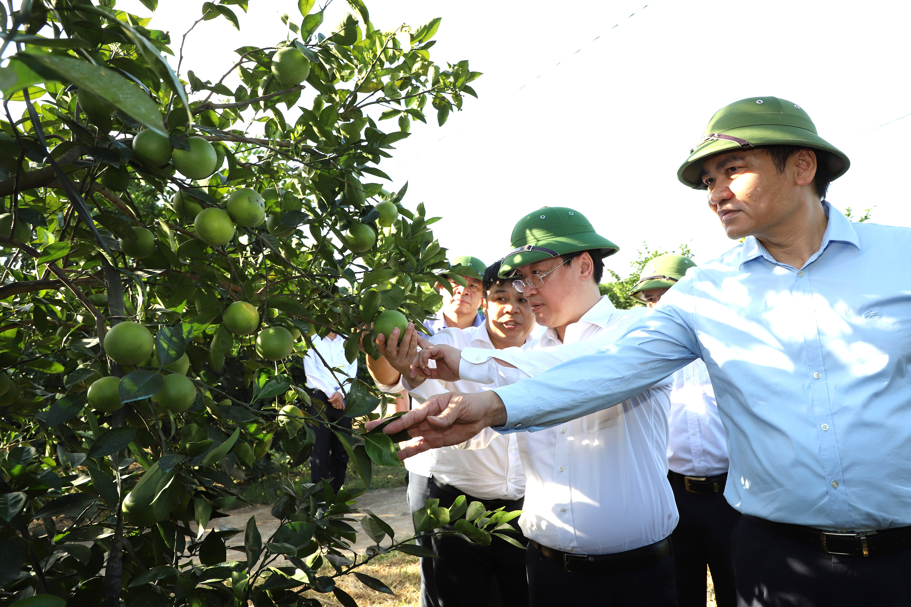 Chủ tịch UBND tỉnh Nguyễn Đức Trung cũng đã đến thăm Hợp tác xã nông nghiệp cây ăn quả 1/5. Ảnh: Phạm Bằng