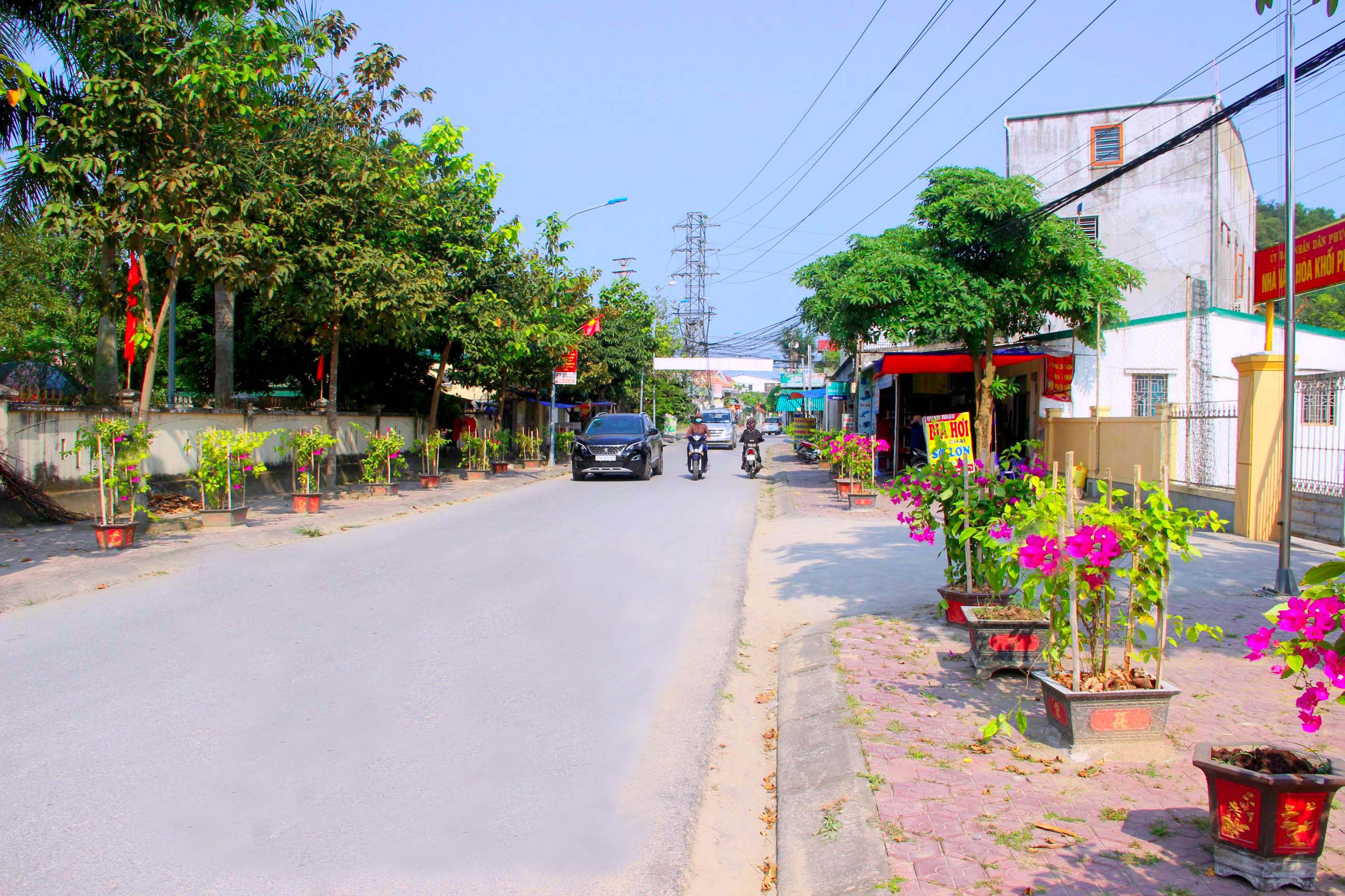 Con đường Tàu Cũ với trăm chậu hoa giấy do Chi hội Phụ nữ khối Phượng Hoàng, phường Trung Đô xây dựng. Ảnh: Q.A