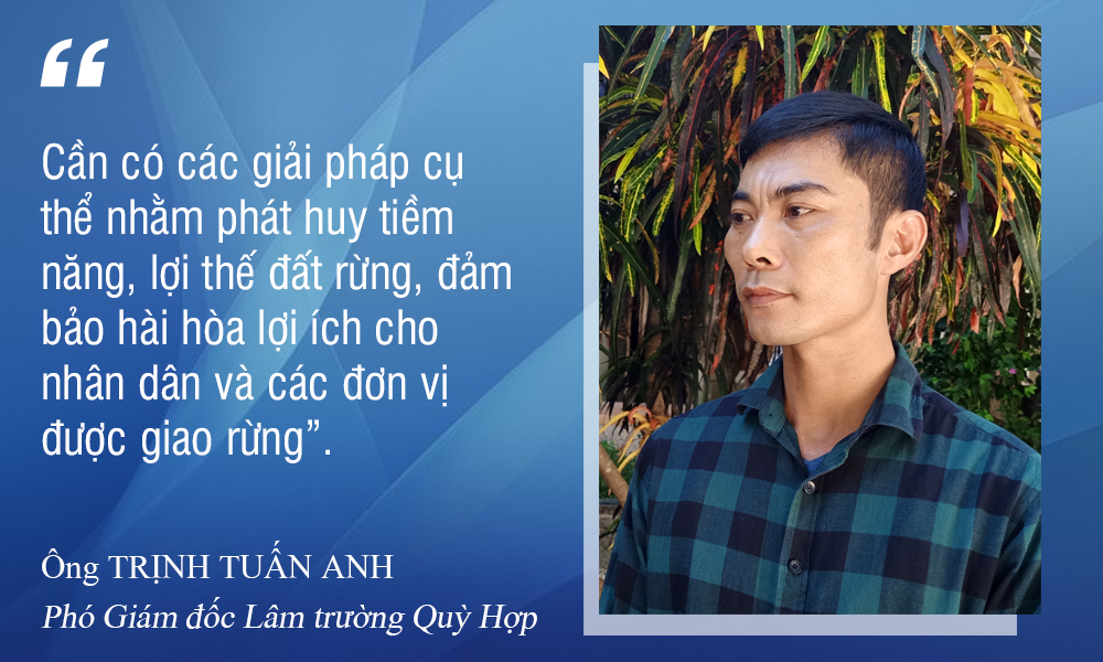 Trịnh Tuấn Anh