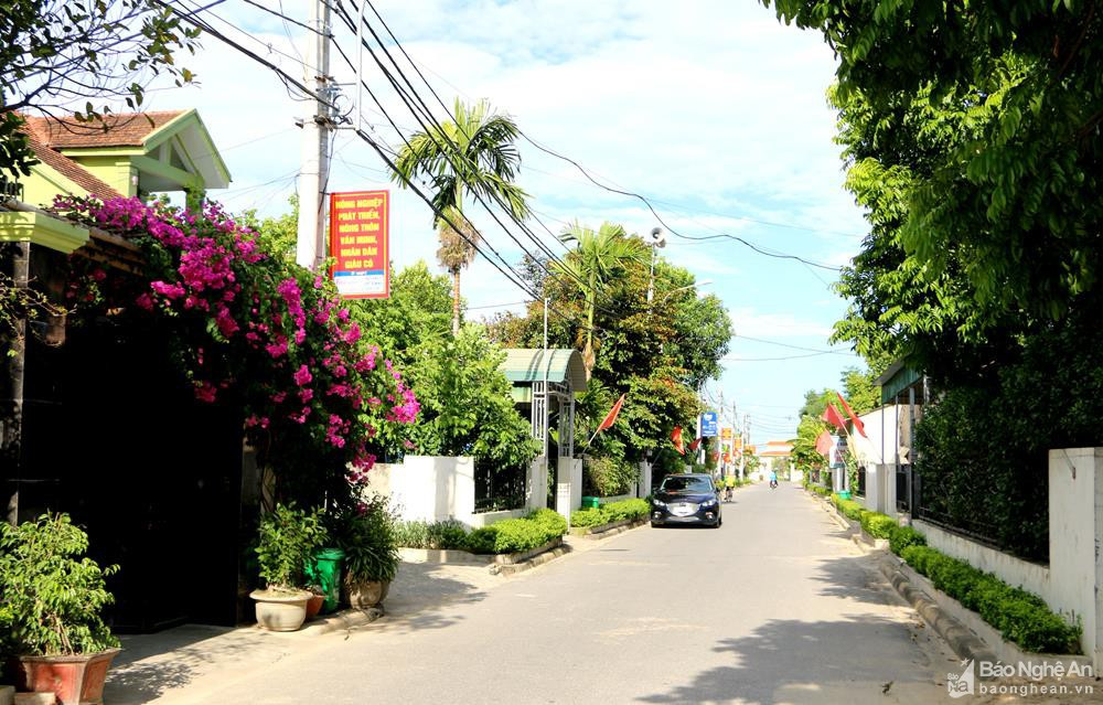 Tuyến đường mẫu Nông thôn mới tại xóm Sen 3, xã Kim Liên, Nam Đàn. Ảnh tư liệu: Nguyễn Hải