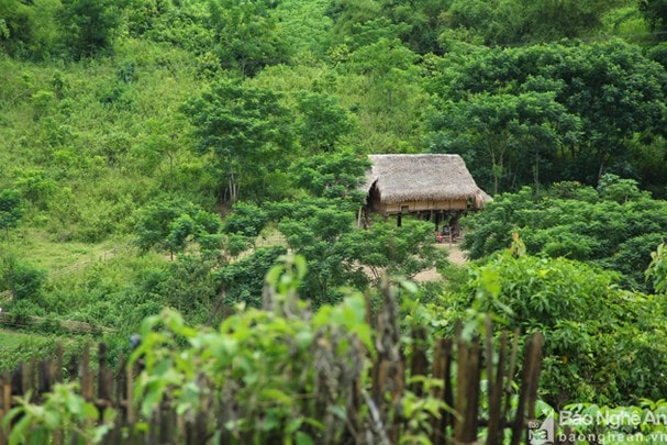 Cuộc sống cô lập cũng là nguyên nhân dẫn đến nạn hôn nhân cận huyết. Ảnh: Tiến Hùng