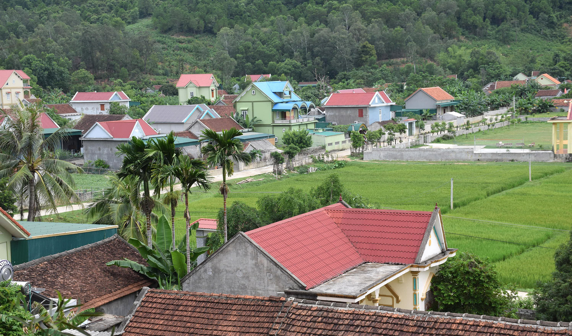 Nông thôn Sơn Thành đang khởi sắc. Ảnh Xuân Hoàng