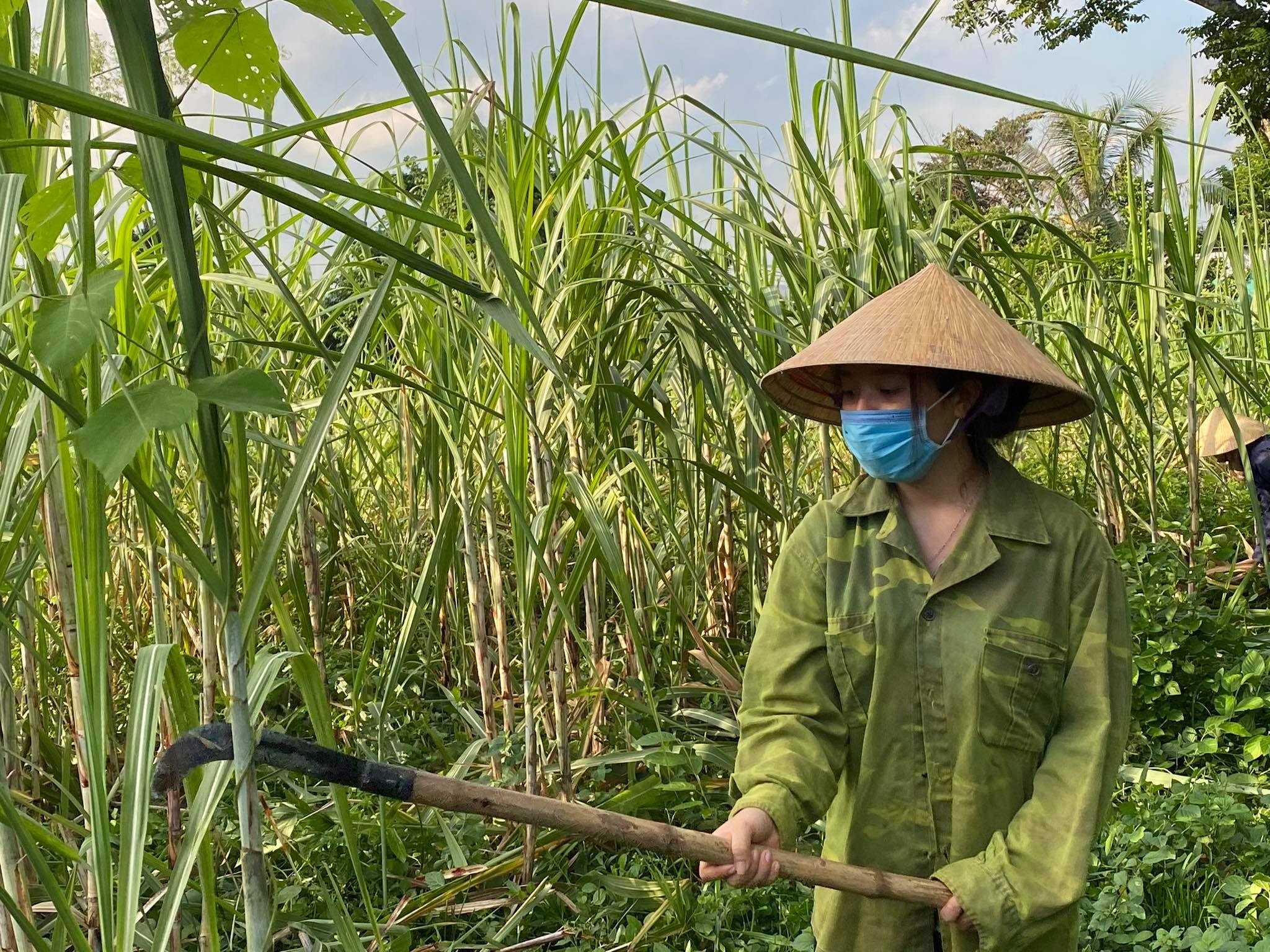 Dù việc nặng nhọc nhưng Trang muốn góp một phần để bố mẹ đỡ vất vả. Ảnh: Minh Thái