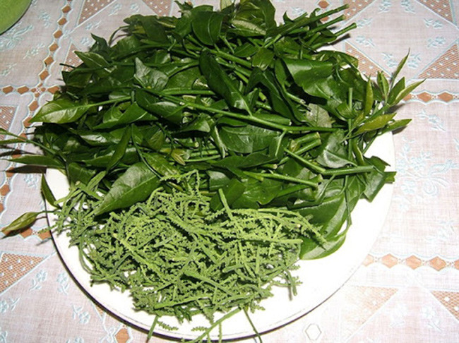Loại rau này được bán trên thị trường với giá khá cao, động từ 120.000 đồng – 200.000 đồng/kg tùy thời điểm. Đặc biệt, rau sắng chùa Hương nổi tiếng có khi còn lên tới hàng triệu đồng một ký.