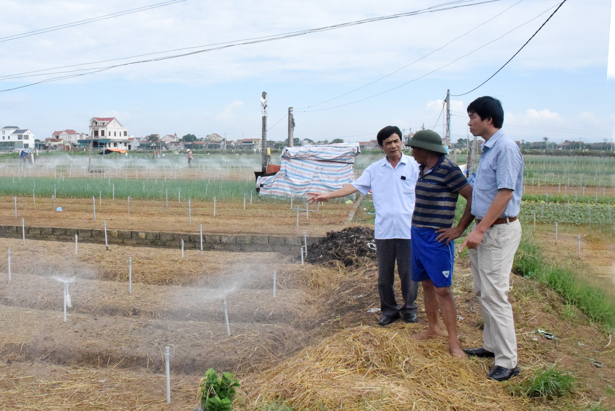 Cán bộ Hội nông dân huyện Quỳnh Lưu tham quan mô hình sản xuất rau VietGAG tại xã Quỳnh Lương. ảnh Xuân Hoàng