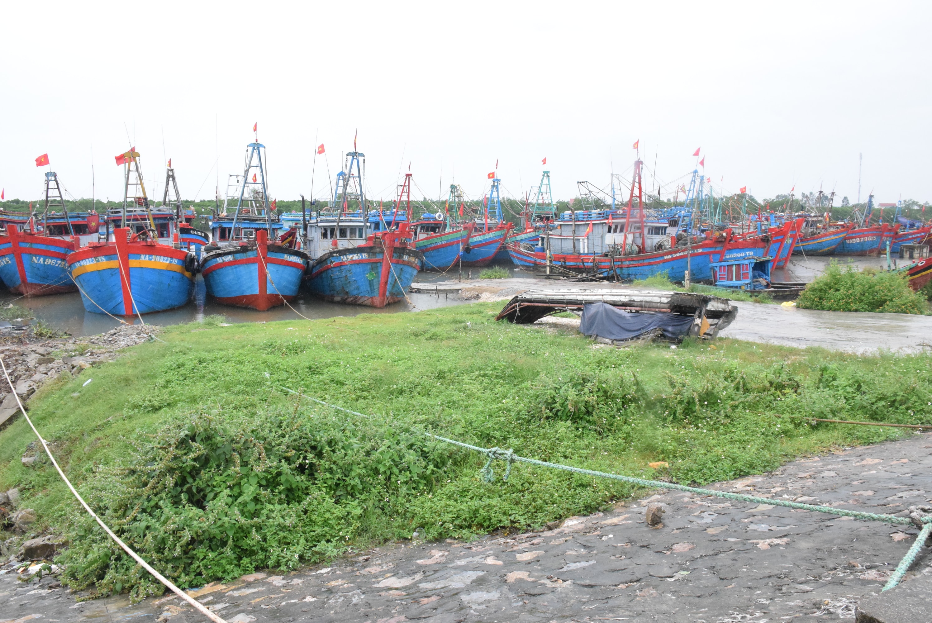 Sông Bùng của huyện Diễn Châu, tàu thuyền đã về đậu ken cứng để tránh bão số 7. Ảnh: Xuân Hoàng