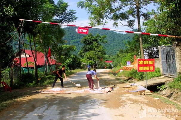 Huyện Quế Phong chỉ đạo các xã có dịch thực hiện nghiêm các giải pháp phòng chống dịch tả lợn châu Phi, trong đó có lập chốt kiểm soát dịch. Ảnh: Xuân Hoàng 