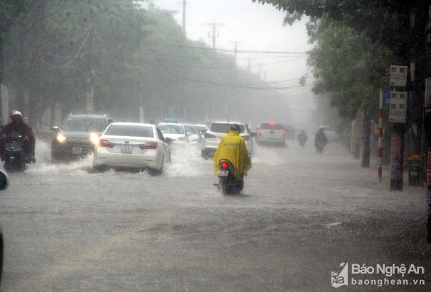 Dự báo bão số 8 sẽ gây mưa to ở Nghệ An trong 2 ngày 25 và 26/10. 
