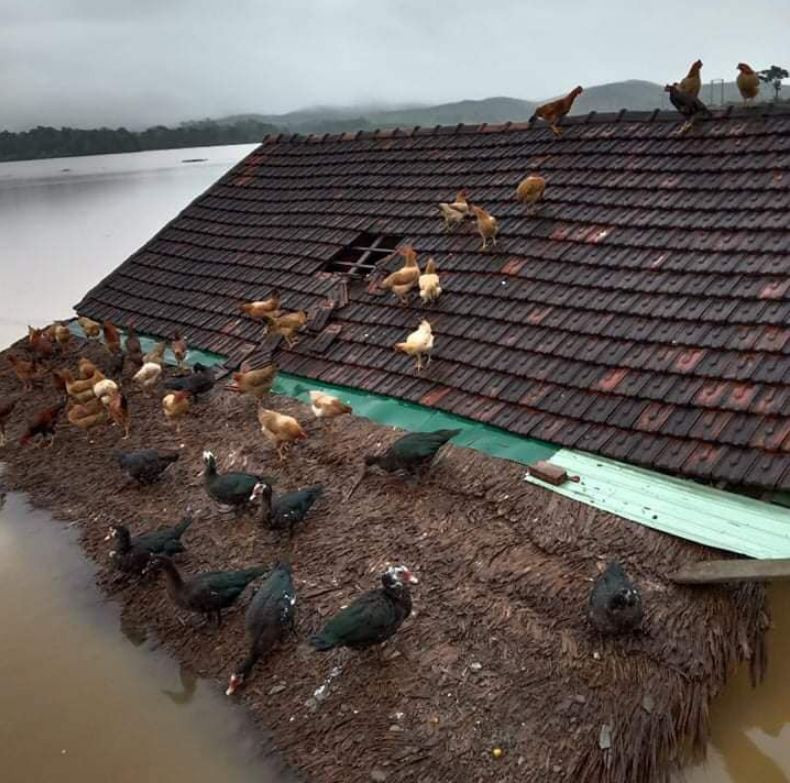 Cảnh ngập lụt tại xã Thanh Tùng. Ảnh: Trần Mậu