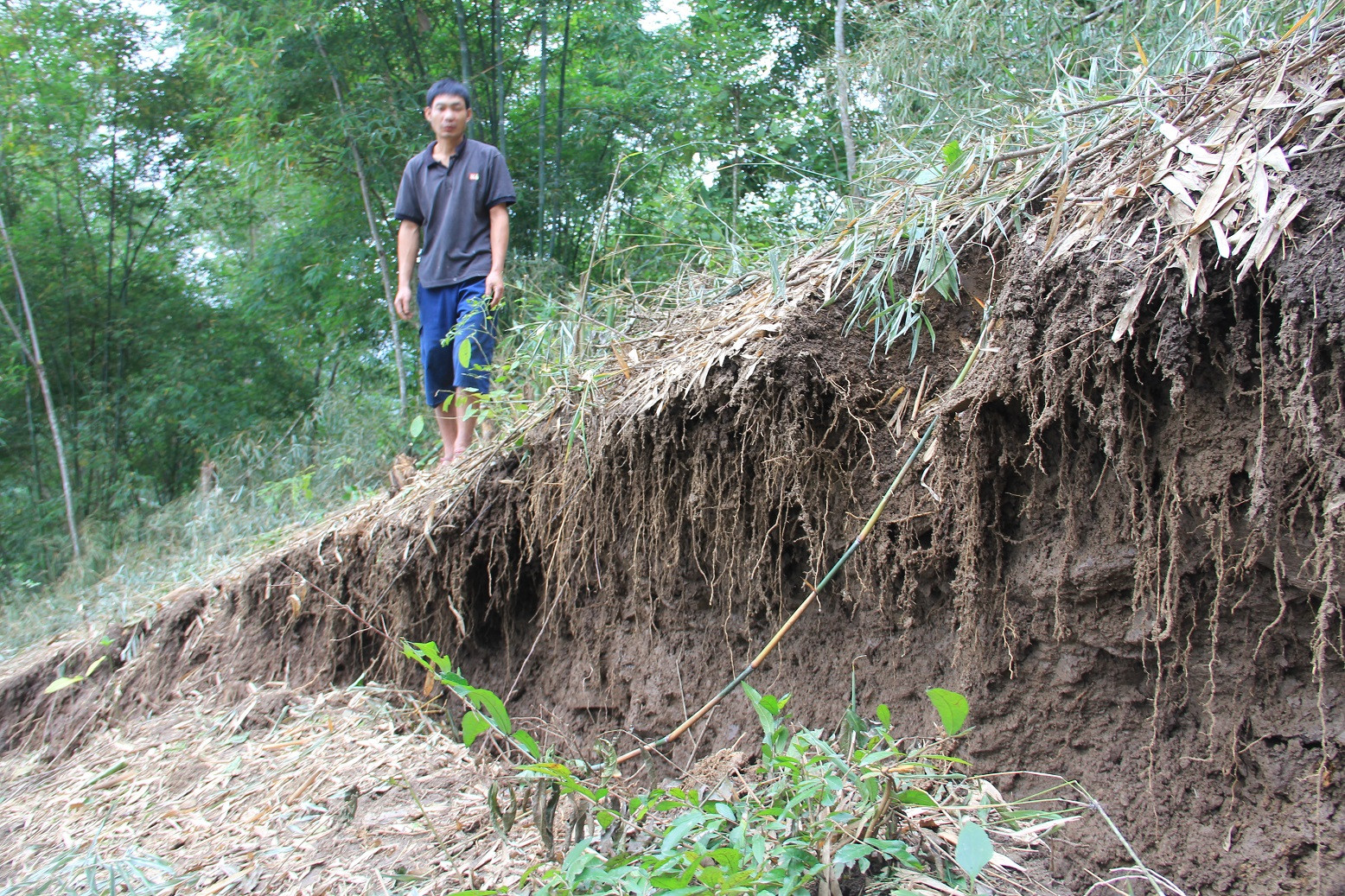 Theo ghi nhận của phóng viên Báo Nghệ An, vết nứt nhiều đoạn sâu khoảng 2 mét, rộng 1 mét chạy theo hình vòng cung dài hơn 200m. Vết nứt này đã xé toạc triền núi, nguy cơ đổ ào xuống bản làng phía dưới bất cứ lúc nào. 