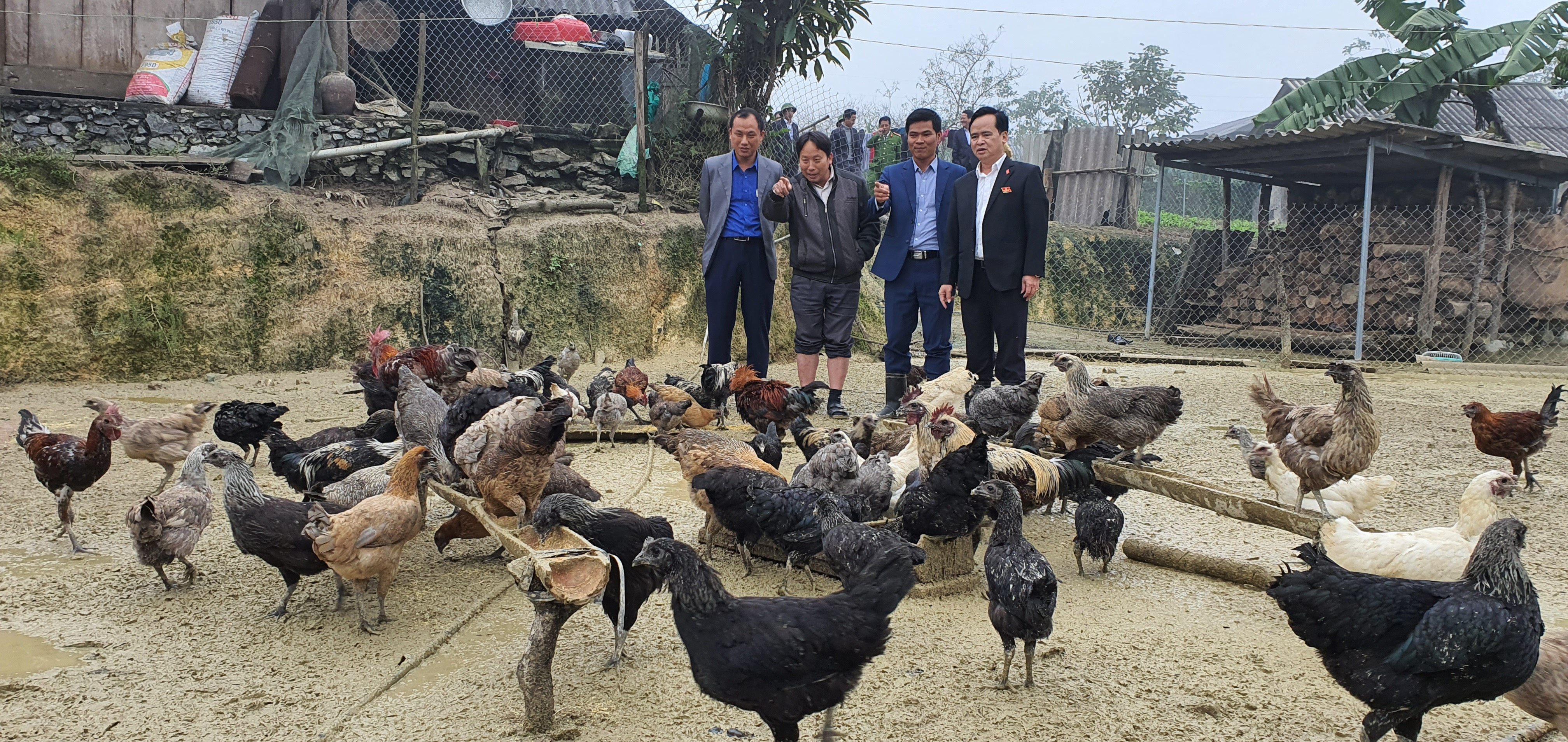 Huyện Kỳ Sơn khảo sát  chuồng trại chăn nuôi gà đen tại xã Mường Lống. 