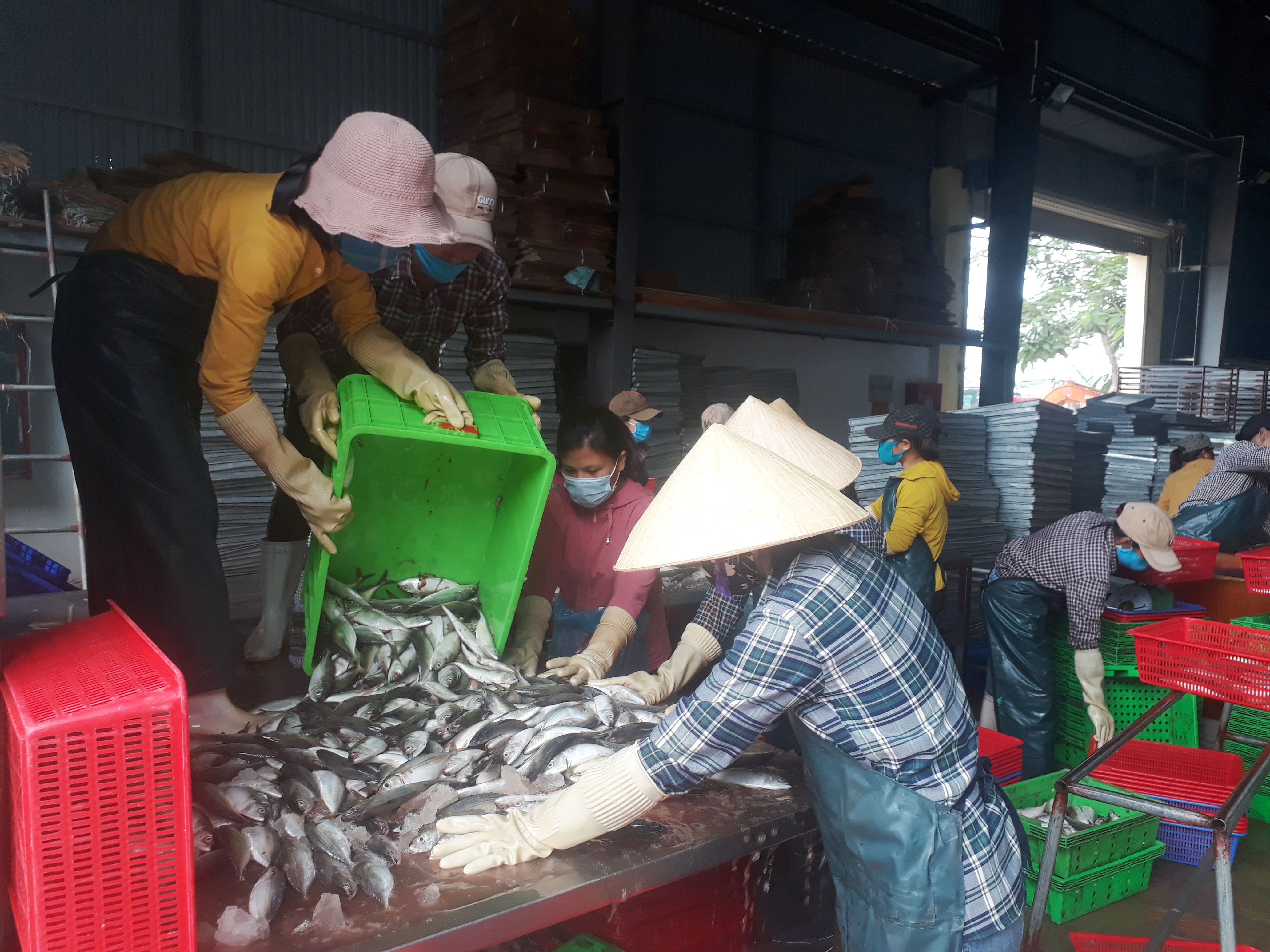 Do không có nguồn hàng nên một số cơ sở chế biến Quỳnh Lưu giảm bớt lao động làm việc.