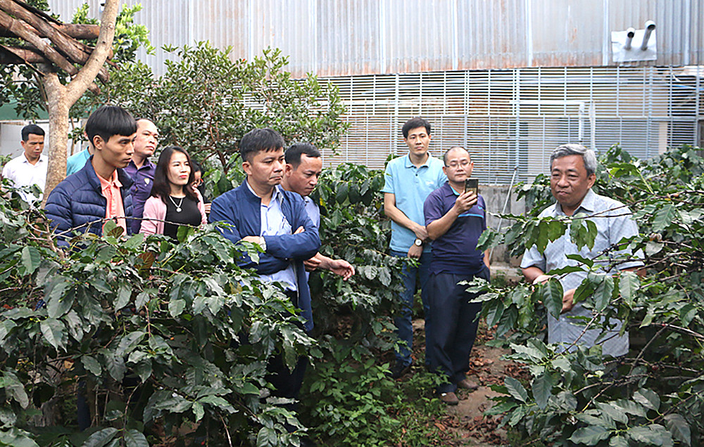 Du lịch cộng đồng, kết hợp tham quan trải nghiệm quy trình sản xuất cà phê chồn tại Đắc Lắc. Ảnh: Nguyễn Hải