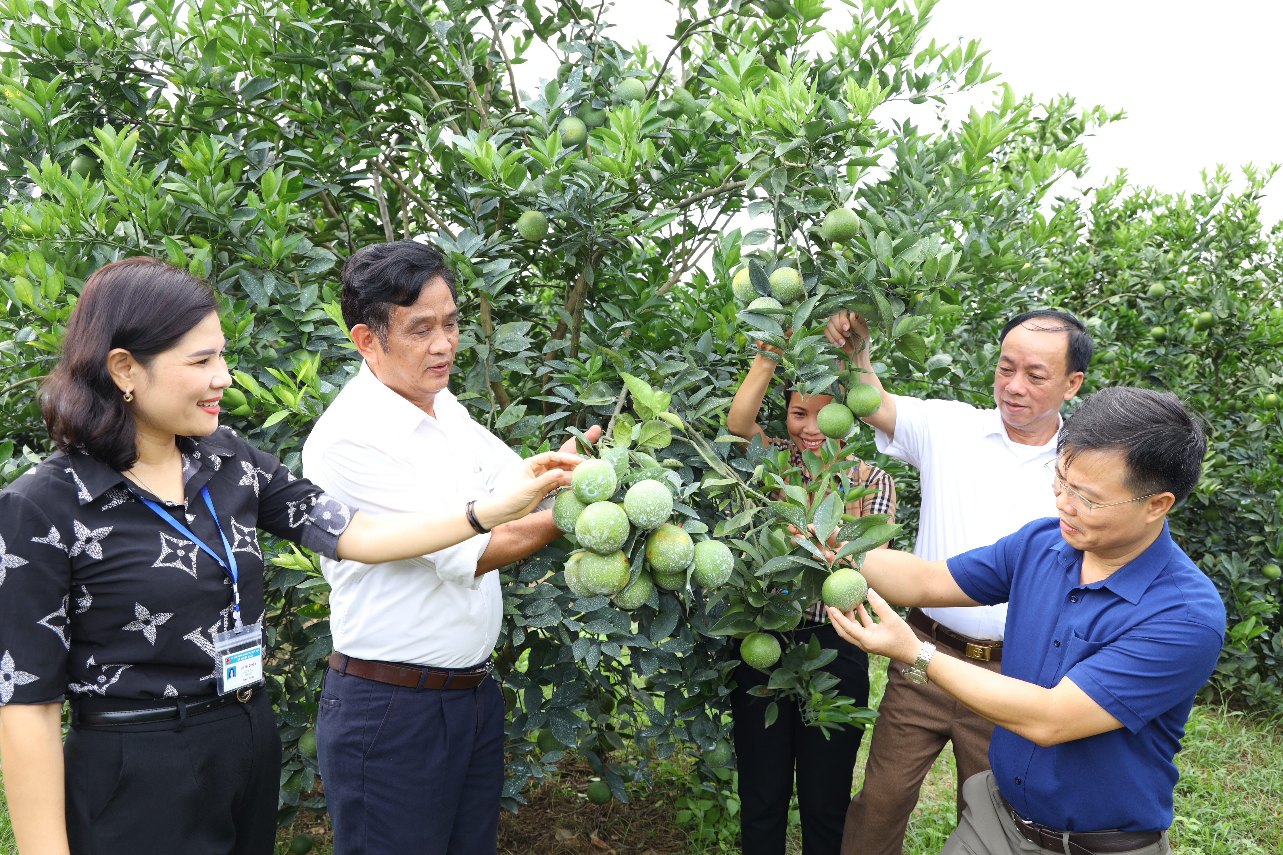 Lãnh đạo xã Nghĩa Xuân (Quỳ Hợp) thăm mô hình kinh tế của đảng viên Hà Huy Sinh trên địa bàn xã. Ảnh: Nguyên Nguyên