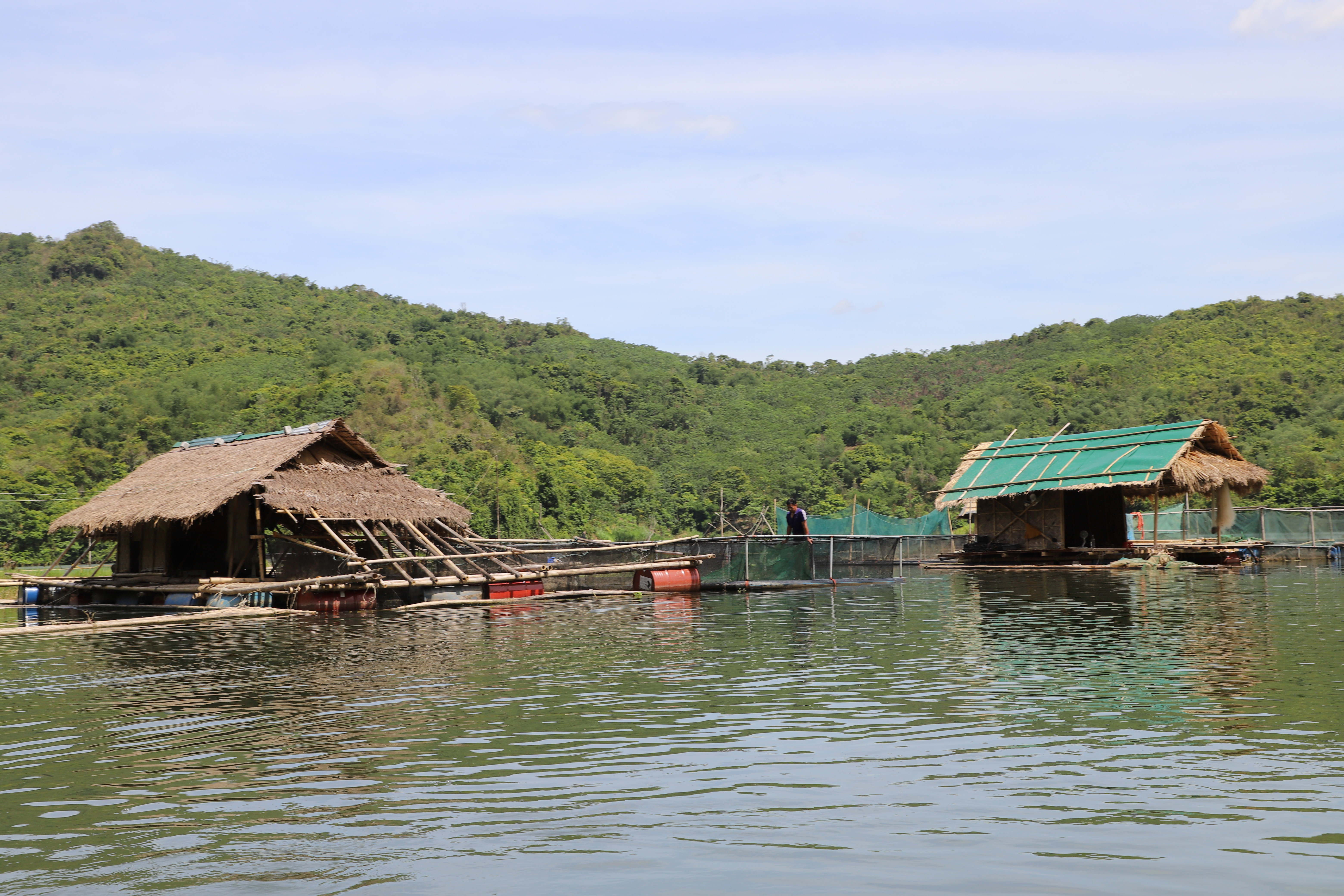 Mô hình nuôi cá lồng trên hồ thủy điện của HTX Đình Phong, xã Tam Đình. Ảnh: PV