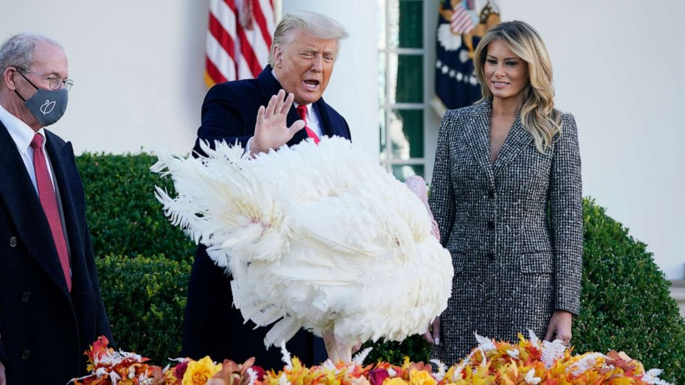 Tổng thống đương nhiệm Donald Trump xá tội cho con gà tây Corn theo thông lệ thường niên của Nhà Trắng trong Lễ Tạ ơn. Ảnh: ABC News