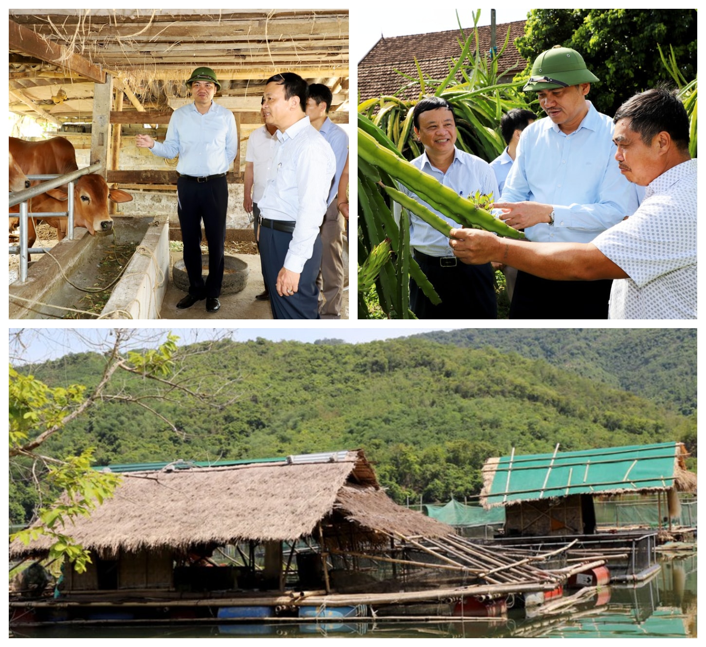 Các đồng chí lãnh đạo tỉnh thăm mô hình phát triển kinh tế ở huyện Tương Dương. Ảnh tư liệu PV