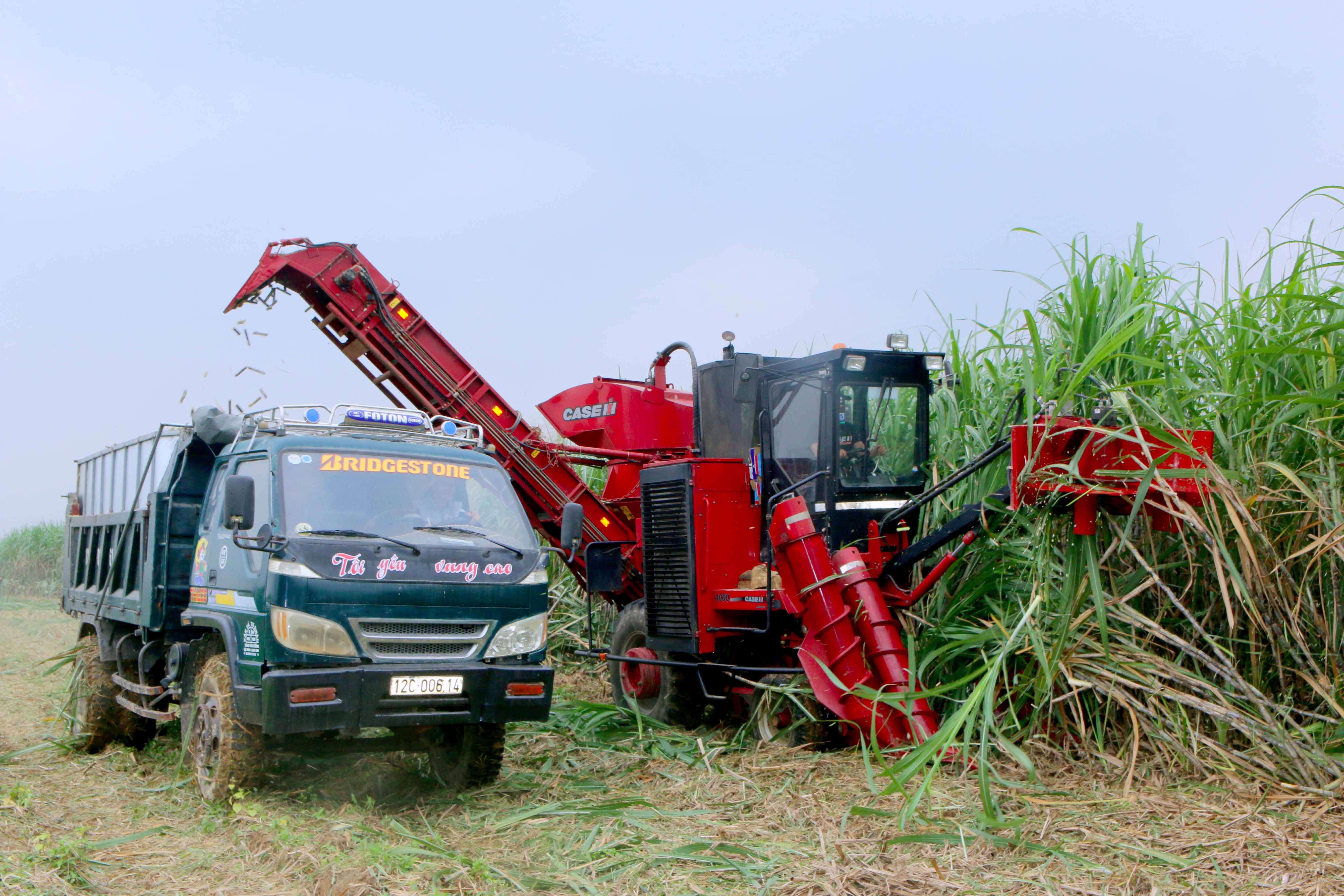 Máy thu hoạch mía được Công ty Cp mía đường Sông Con trình diễn ngày 3/12. Ảnh: Cẩm Tú