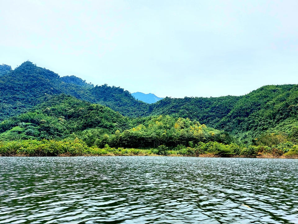 Trên các hòn đảo nổi vùng lòng hồ là các khu rừng tái sinh làm tăng thêm vẻ đẹp cảnh quan thiên nhiên. Ảnh: Nhật Lân