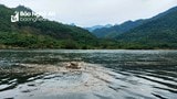 Vô số rác trên mặt lòng hồ thủy điện Hủa Na