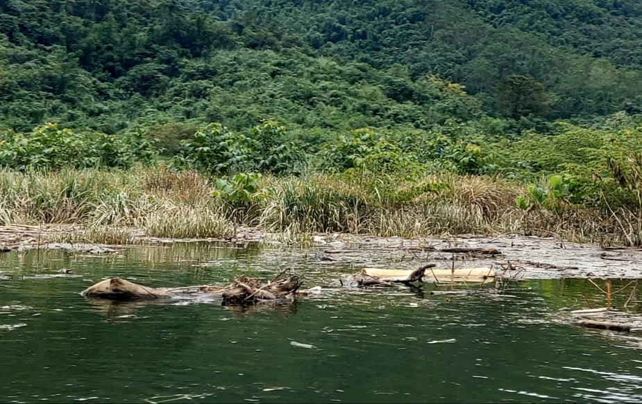 Rác trên lòng hồ thủy điện Hủa Na, ở vị trí đuôi hồ, gần sông Chu. Ảnh: Nhật Lân