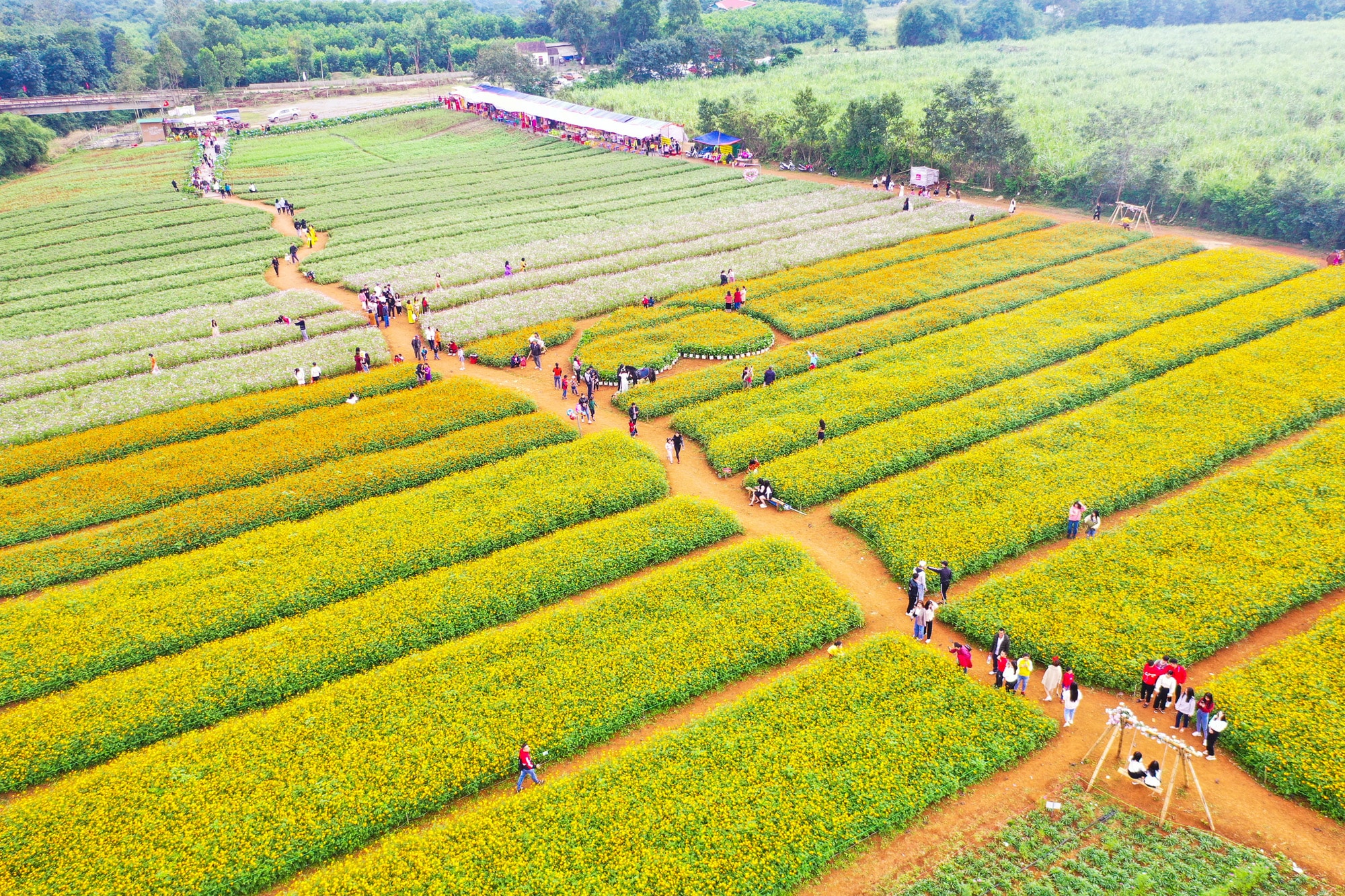 Ảnh: Sách Nguyễn