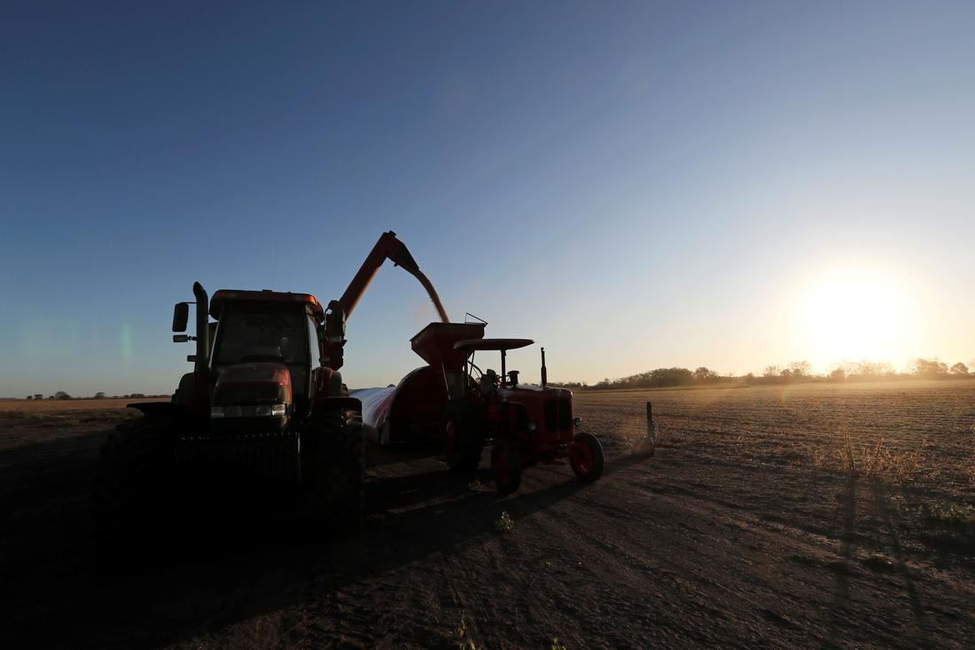 Một nông trại ở Buenos Aires, Argentina. Trung Quốc là nước mua nhiều đậu nành Argentina nhất. Ảnh: Reuters