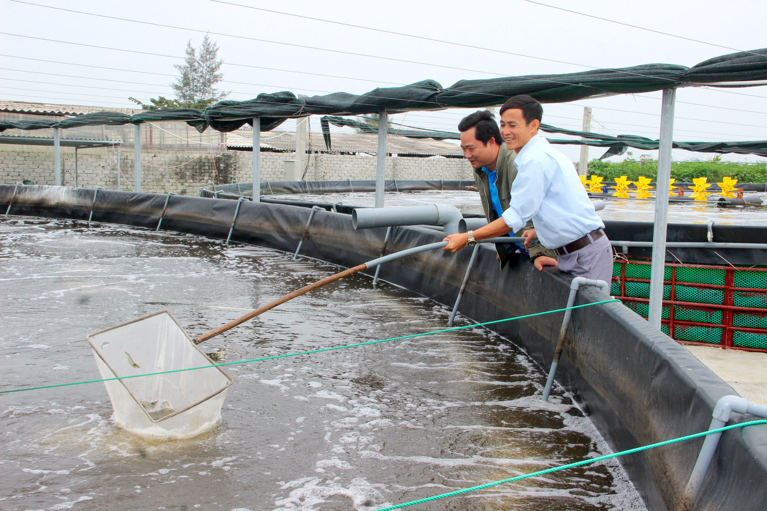 Mô hình nuôi tôm công nghệ cao trên địa bàn xã Diễn Kim. Ảnh: Quang An