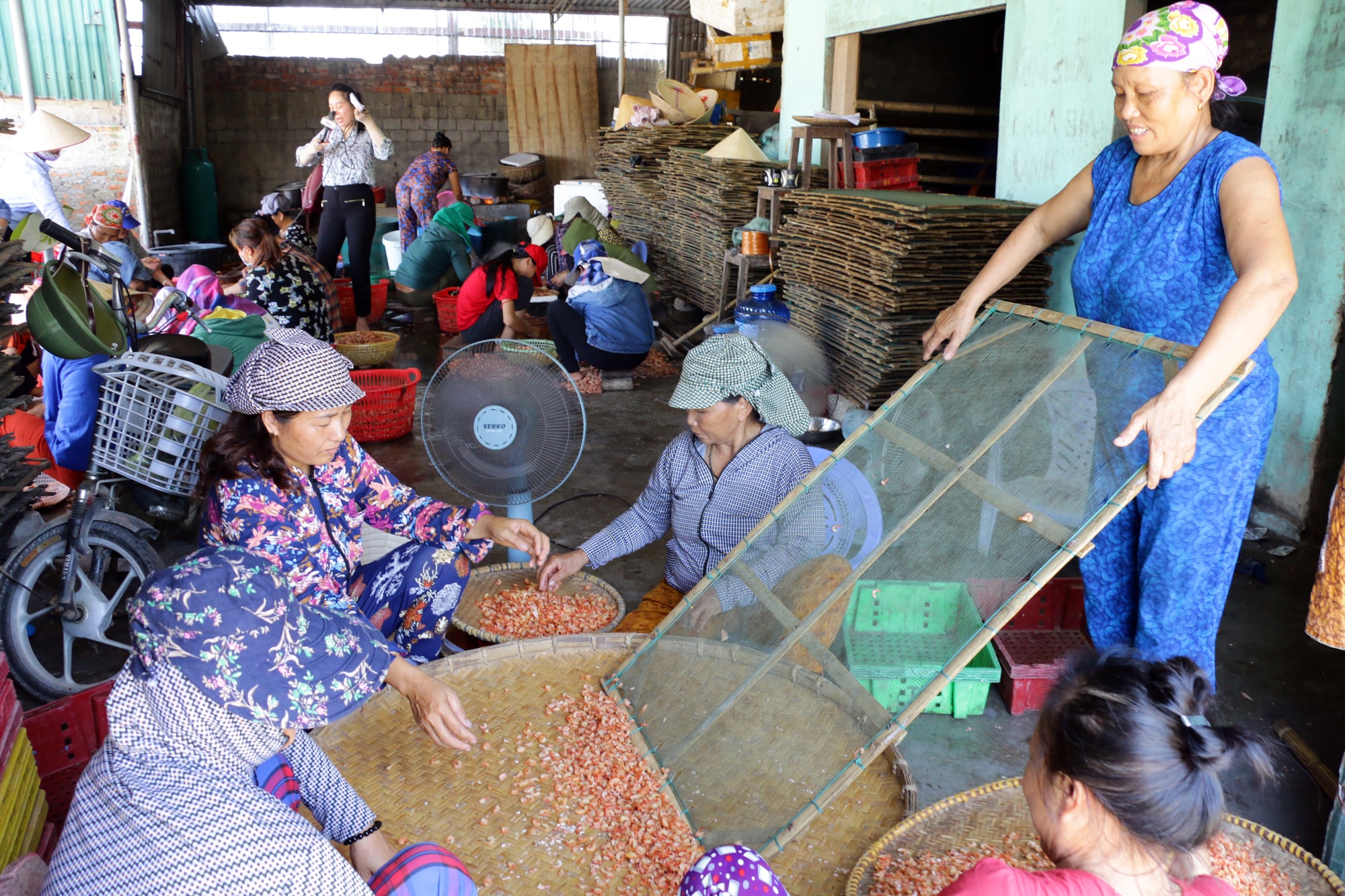 Bà con Cửa Lò chế biến tôm nõn. Ảnh Thành Chung