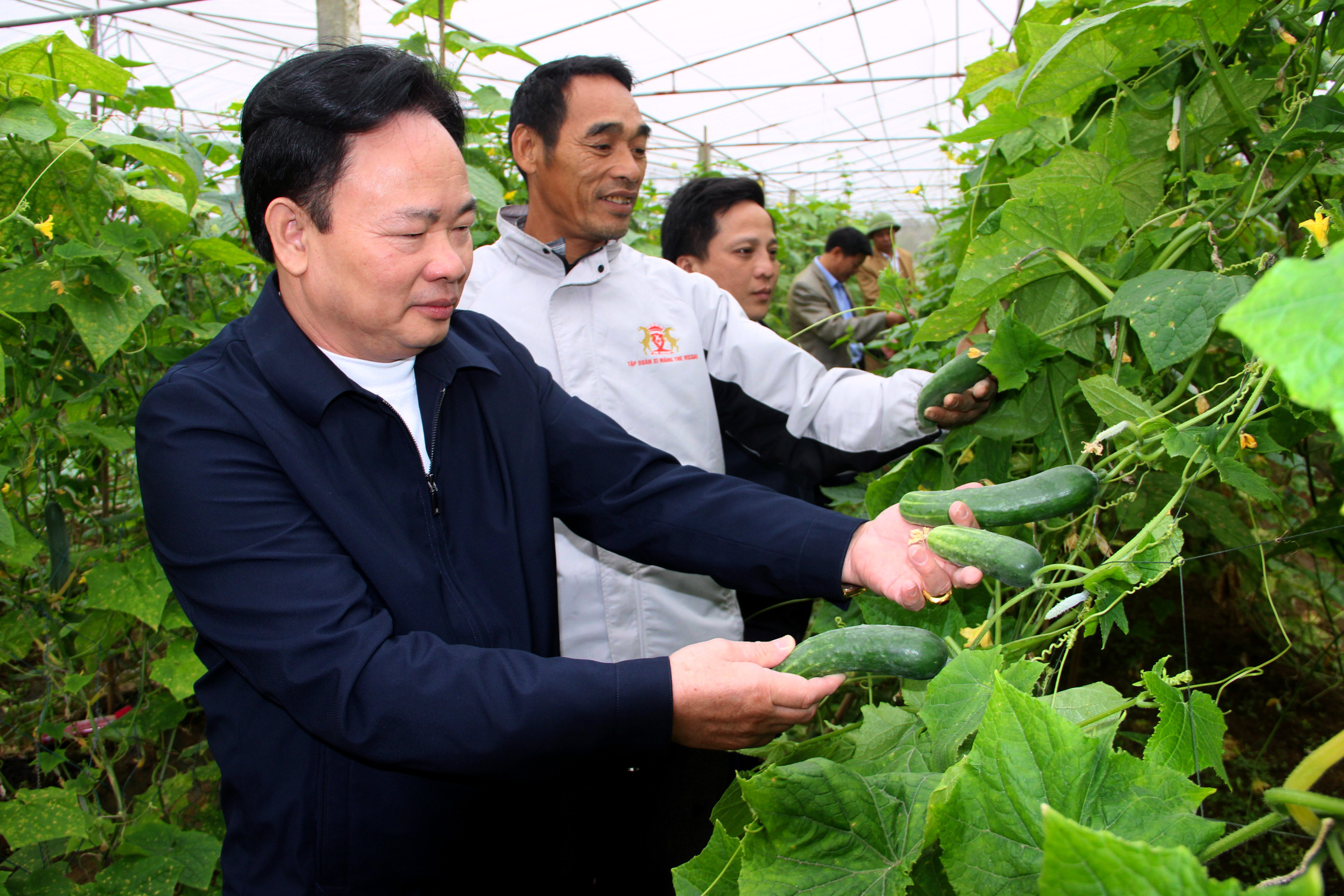 ã Diễn Hải đã xây dựng thành công nhiều mô hình nông nghiệp công nghệ cao ảnh Quang An